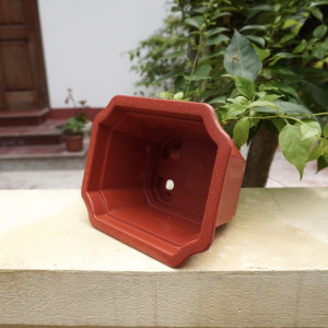 Hình ảnh lòng chậu