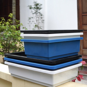 Hình ảnh 2 size chậu