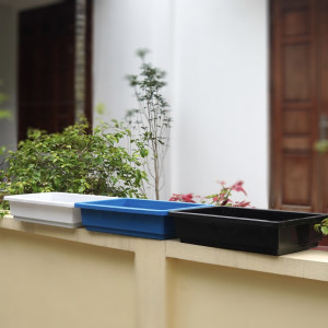 Khay nhựa trồng rau có 3 màu