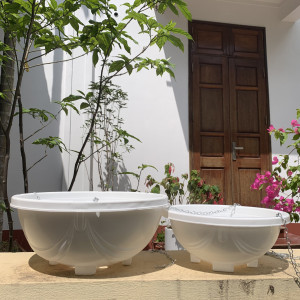 Hình ảnh 2 size chậu