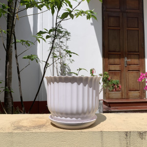 Chậu nhựa tròn vân sọc kèm đĩa