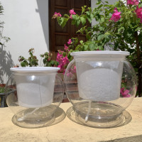 Hình ảnh 2 size chậu