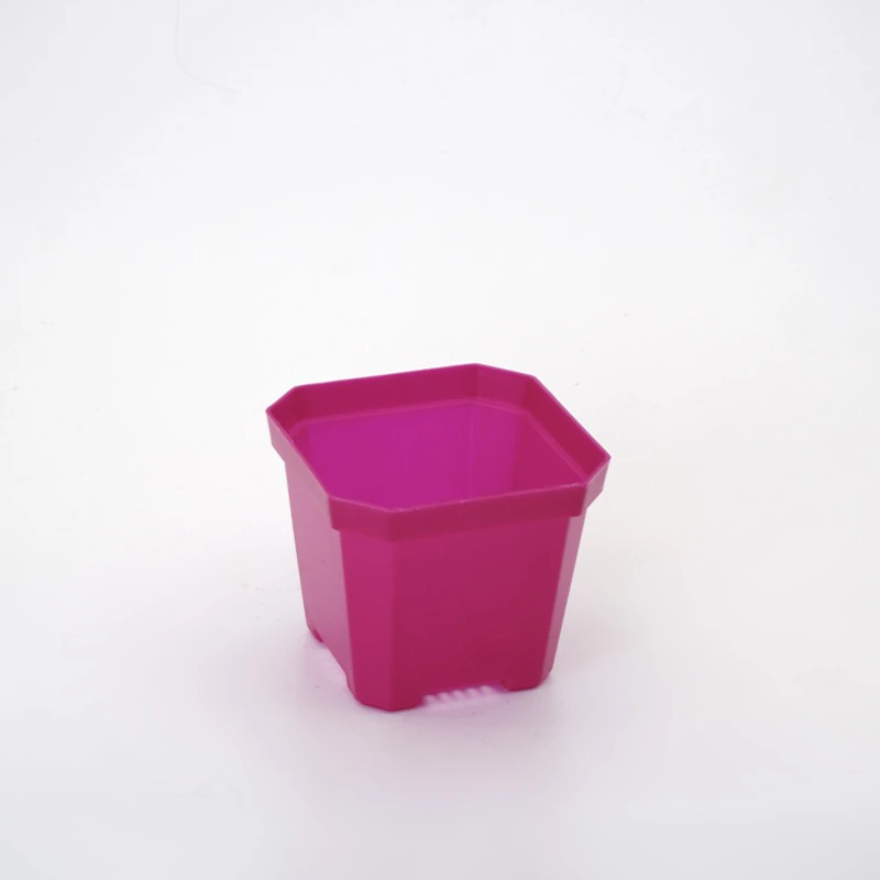 Chậu nhựa trồng sen đá, xương rồng, hoa giả, cây cảnh mini nhiều ...