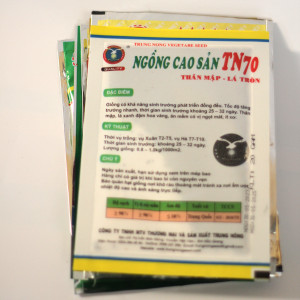 Hạt giống cải ngồng cao sản TN70 (Trung Nông)