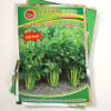 Hạt giống rau cần tây cao sản 361 (Lucky)