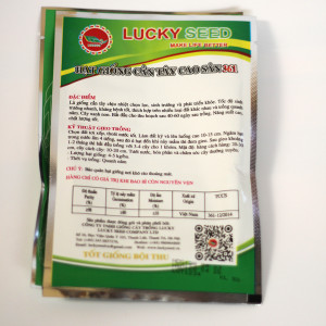 Hạt giống rau cần tây cao sản 361 (Lucky)