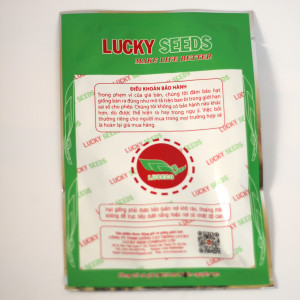Hạt giống cây rau tỏi tây (Lucky)